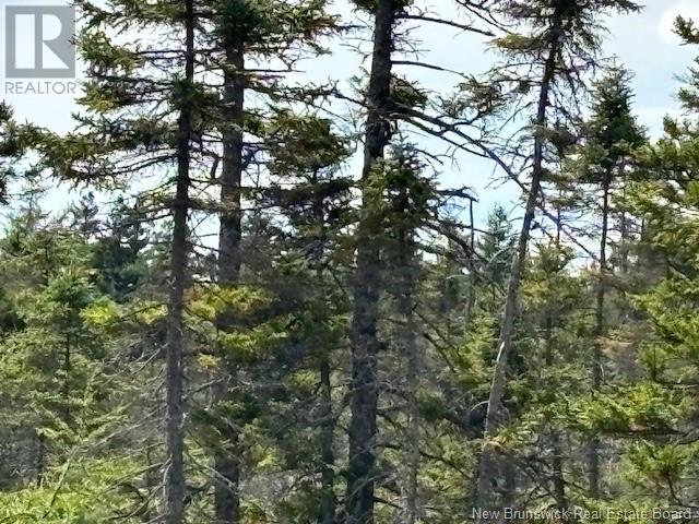 454 St. Martin's Road, Saint John, New Brunswick  E2S 1E4 - Photo 9 - NB106507
