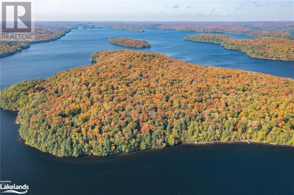 0 Bear Island, Dorset, Ontario  P0A 1E0 - Photo 13 - 40651181