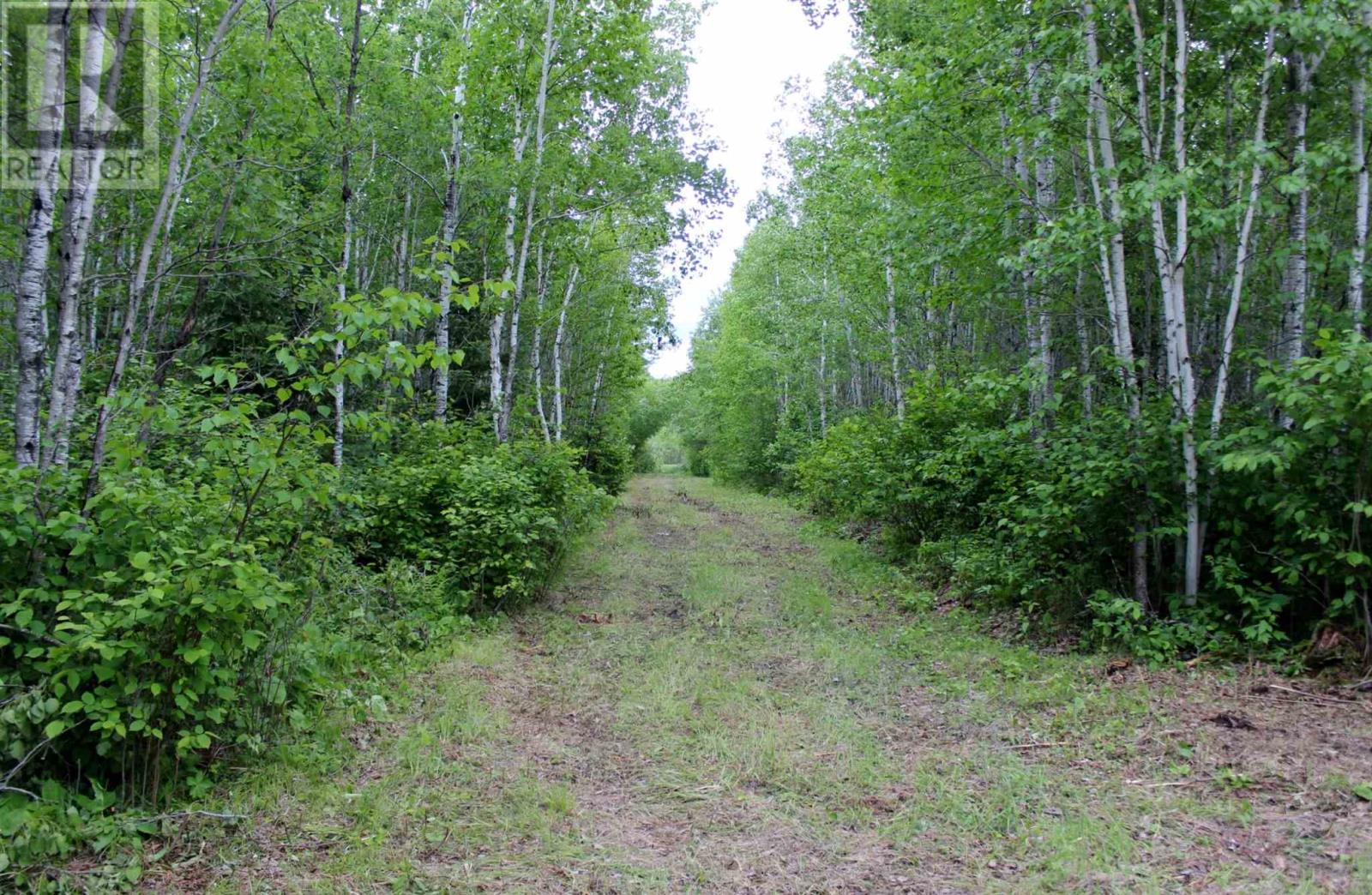 Pcl 13709 Jewett Rd, Stratton, Ontario  P0W 1N0 - Photo 31 - TB241789