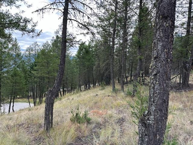 Lot 40 Pine Ridge Mountain  Lane, Invermere, British Columbia  V0A 1K4 - Photo 5 - 2479715