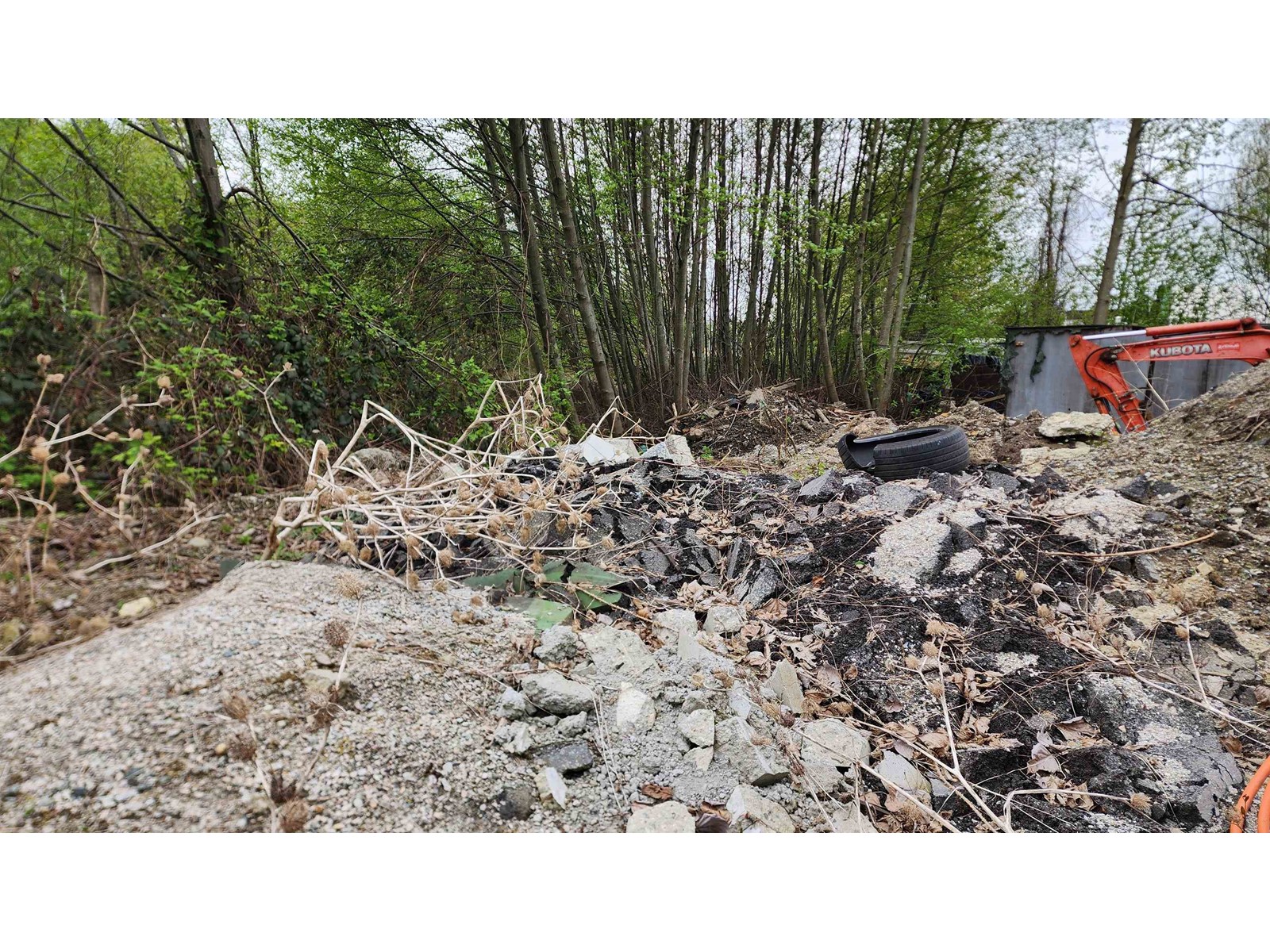 13848 117 Avenue, Surrey, British Columbia  V3R 2V4 - Photo 3 - R2913054