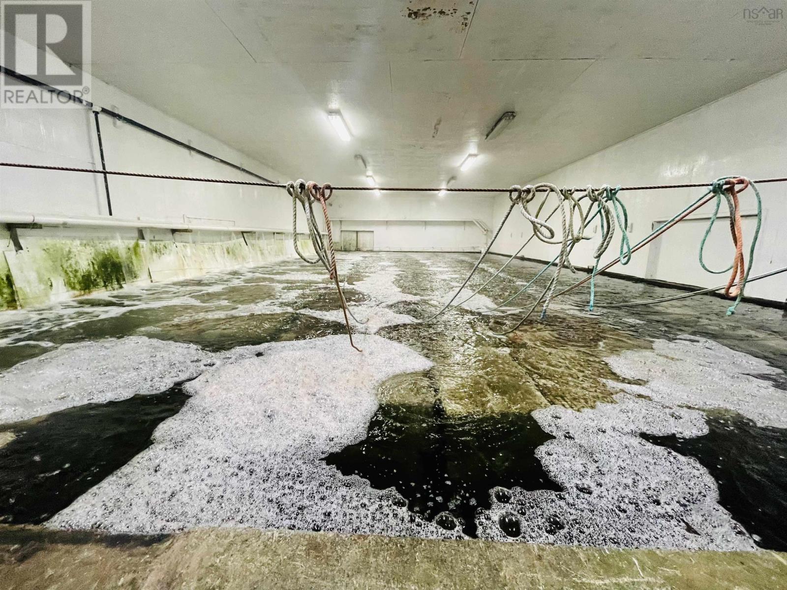 81-89 Daniels Head Road, South Side, Nova Scotia  B0W 1P0 - Photo 38 - 202423036