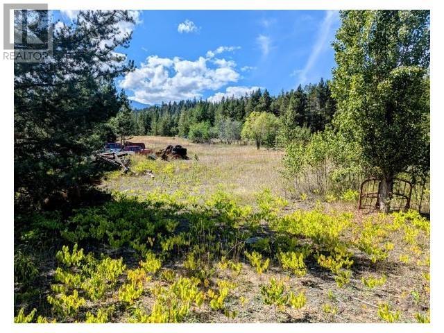 5255 Pitney Road, Valemount, British Columbia  V0E 2Z0 - Photo 15 - R2926727