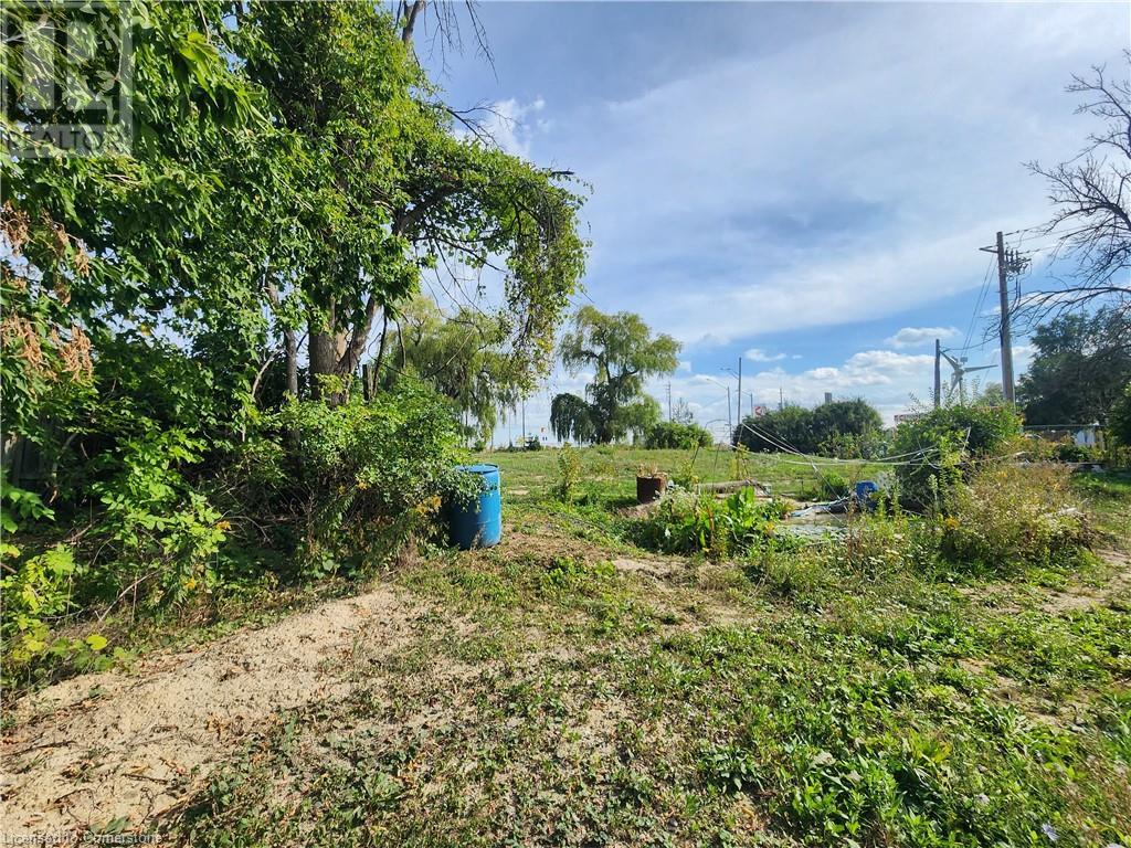 559 Dundas Street E, Hamilton, Ontario  L0R 2H1 - Photo 3 - 40652005