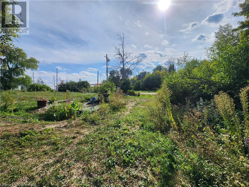 559 Dundas Street E, Hamilton, Ontario  L0R 2H1 - Photo 4 - 40652005