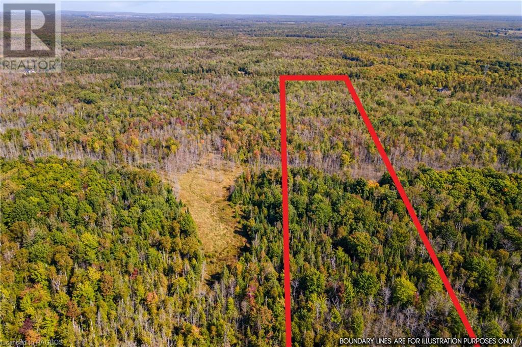 Lot 36 Con D Sauble Falls Parkway, South Bruce Peninsula, Ontario  N0H 2T0 - Photo 28 - 40649744