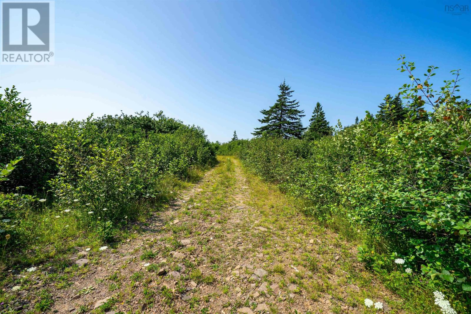 Robicheau Road, Waterford, Nova Scotia  B0V 1A0 - Photo 11 - 202418324