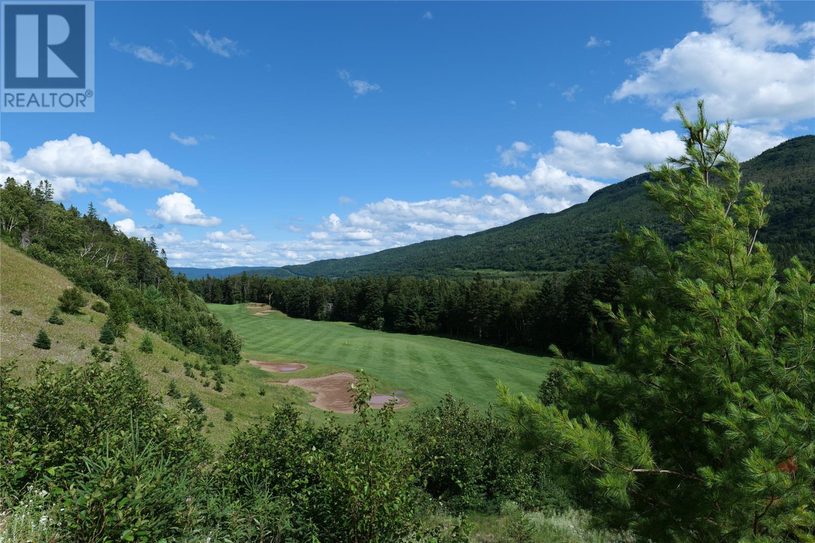 5 Boom Close, Humber Valley Resort, Newfoundland & Labrador  A2H 0E1 - Photo 7 - 1269367