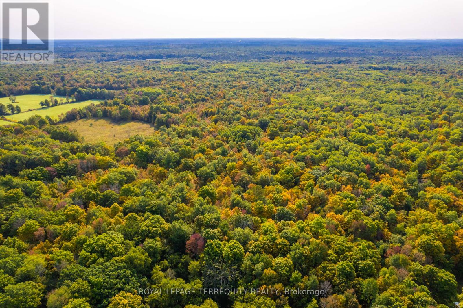 Pt Lt 13 Con 8, Havelock-Belmont-Methuen, Ontario  K0L 1Z0 - Photo 5 - X9270557