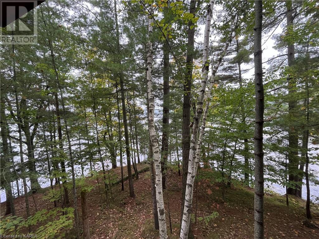 2305e Opinicon Road, Rideau Lakes, Ontario  K0G 1E0 - Photo 33 - 40652254