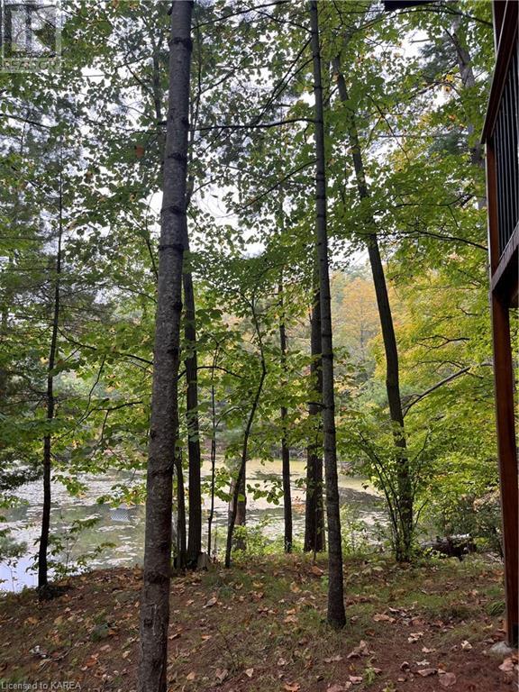 2305e Opinicon Road, Rideau Lakes, Ontario  K0G 1E0 - Photo 32 - 40652254