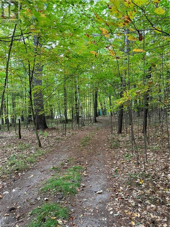 2305e Opinicon Road, Rideau Lakes, Ontario  K0G 1E0 - Photo 30 - 40652254