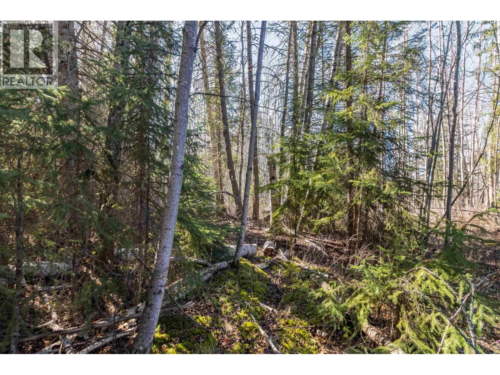 4722 Cariboo Drive, 108 Mile Ranch, British Columbia V0K 2Z0 - Photo 4 - R2863507