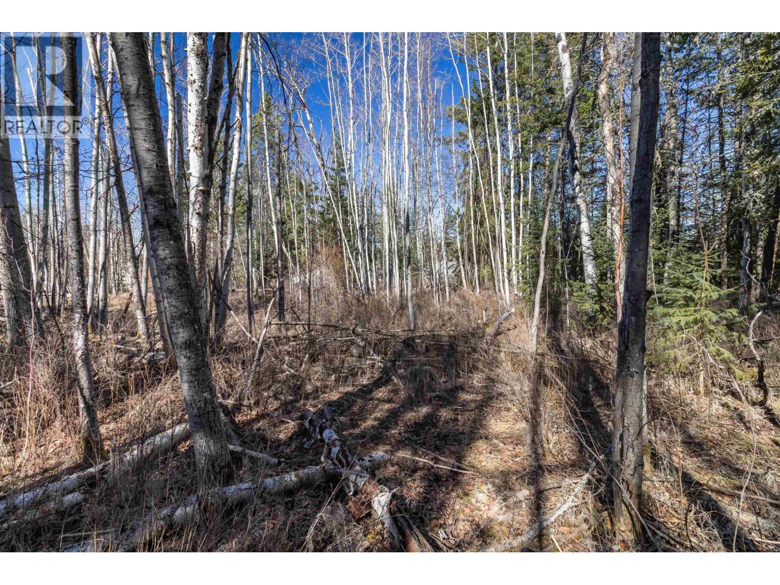 4722 Cariboo Drive, 108 Mile Ranch, British Columbia V0K 2Z0 - Photo 12 - R2863507