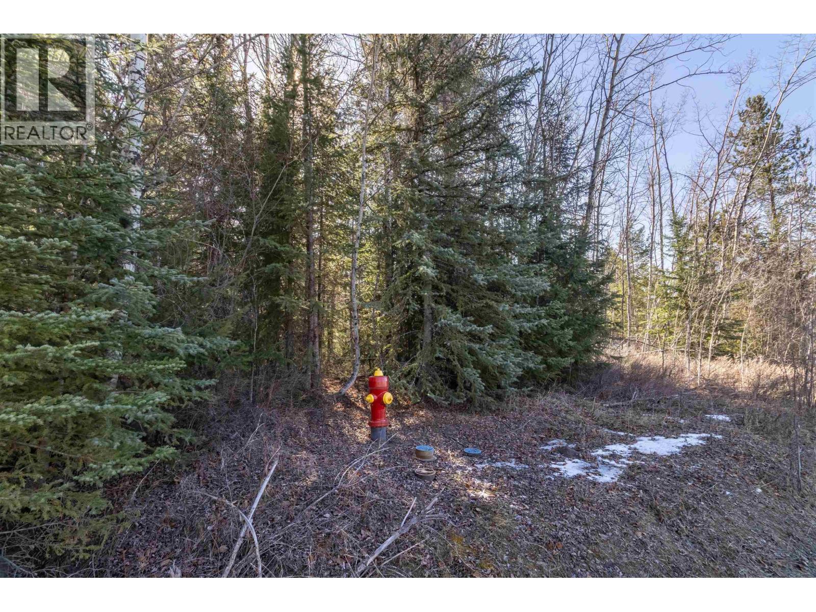 4722 Cariboo Drive, 108 Mile Ranch, British Columbia V0K 2Z0 - Photo 11 - R2863507