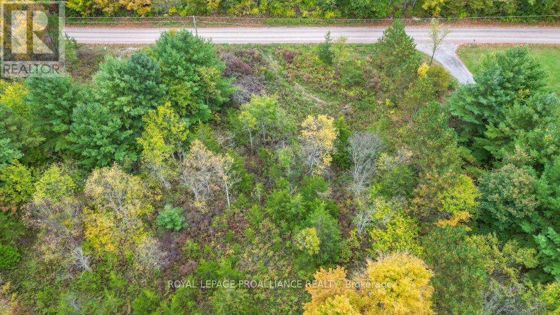 88 Conchie Road, Tweed, Ontario  K0K 3J0 - Photo 10 - X9365704