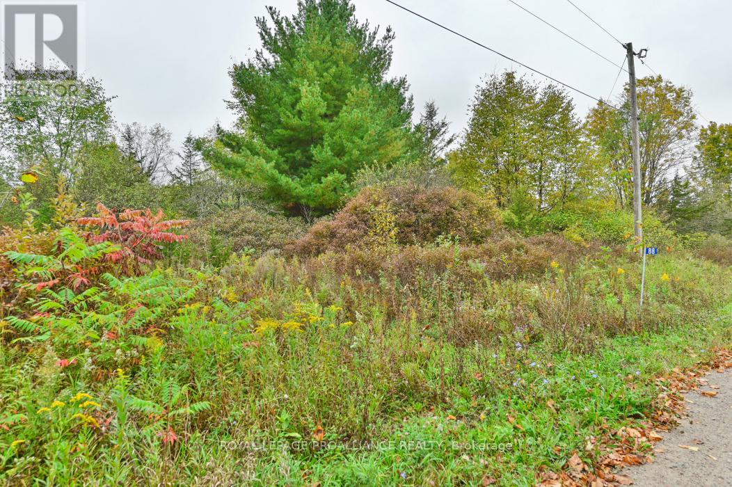 88 Conchie Road, Tweed, Ontario  K0K 3J0 - Photo 3 - X9365704