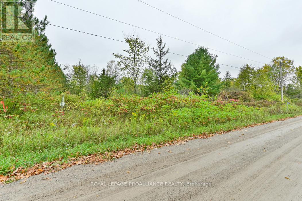 88 Conchie Road, Tweed, Ontario  K0K 3J0 - Photo 4 - X9365704