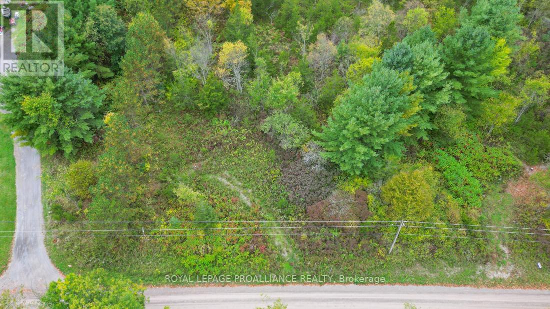 88 Conchie Road, Tweed, Ontario  K0K 3J0 - Photo 5 - X9365704