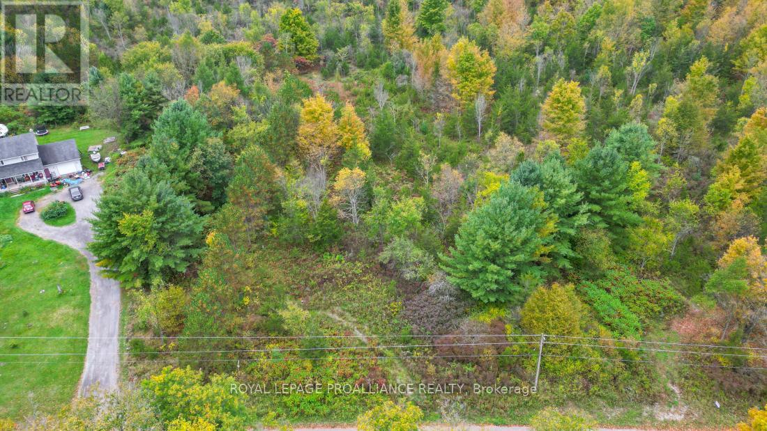 88 Conchie Road, Tweed, Ontario  K0K 3J0 - Photo 6 - X9365704