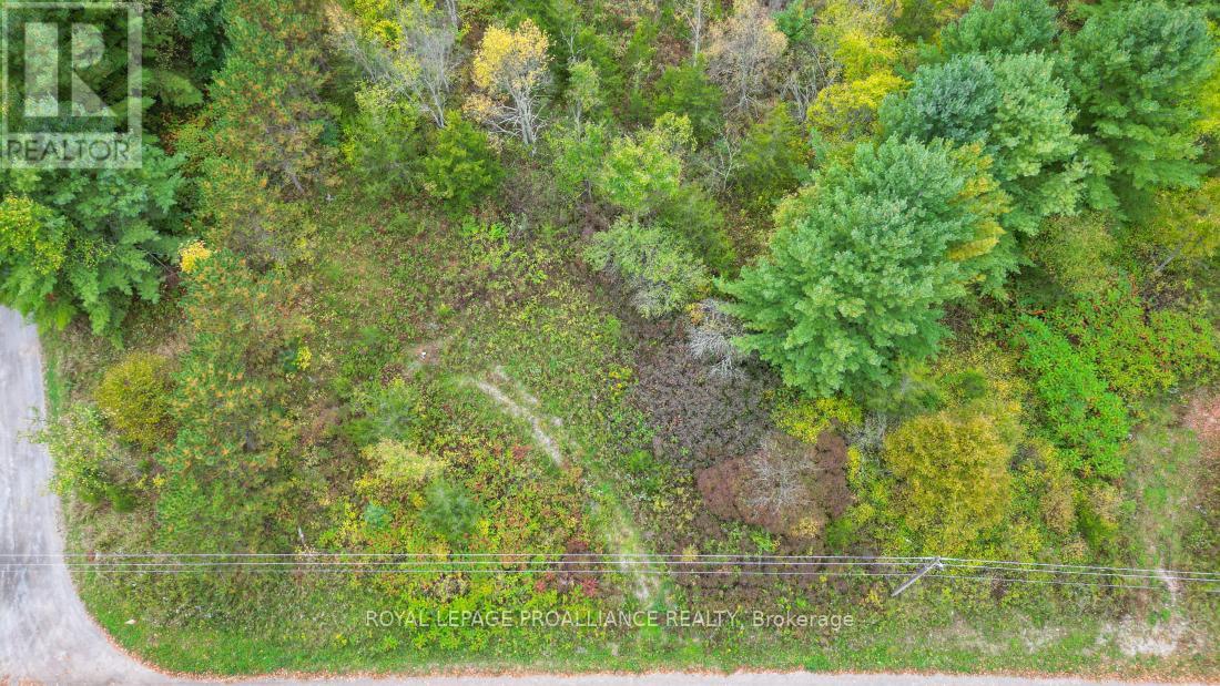 88 Conchie Road, Tweed, Ontario  K0K 3J0 - Photo 8 - X9365704