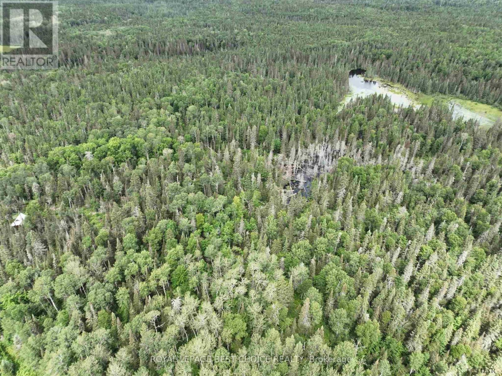 Pcl 10113 Mining Claim L10148, Larder Lake, Ontario  P0K 1L0 - Photo 8 - T9292786