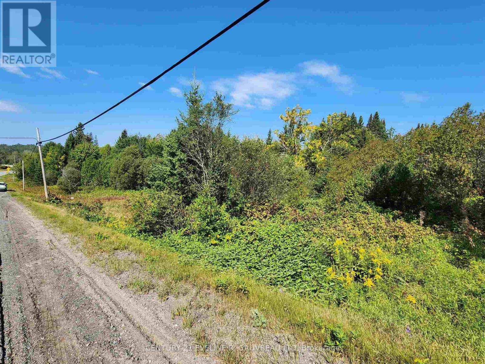 Lt 10-12 Main Street, Charlton And Dack (Charlton), Ontario  P0J 1B0 - Photo 14 - T9342969