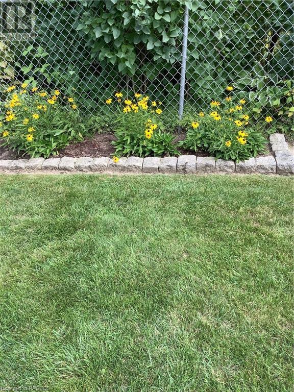 704 11th Street, Hanover, Ontario  N4N 3J4 - Photo 11 - 40652032