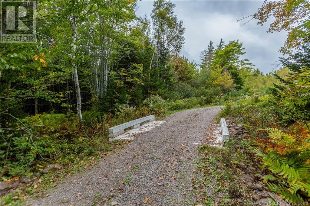 100 Hunter Lane, Malden, New Brunswick  E4M 1W9 - Photo 3 - NB106676