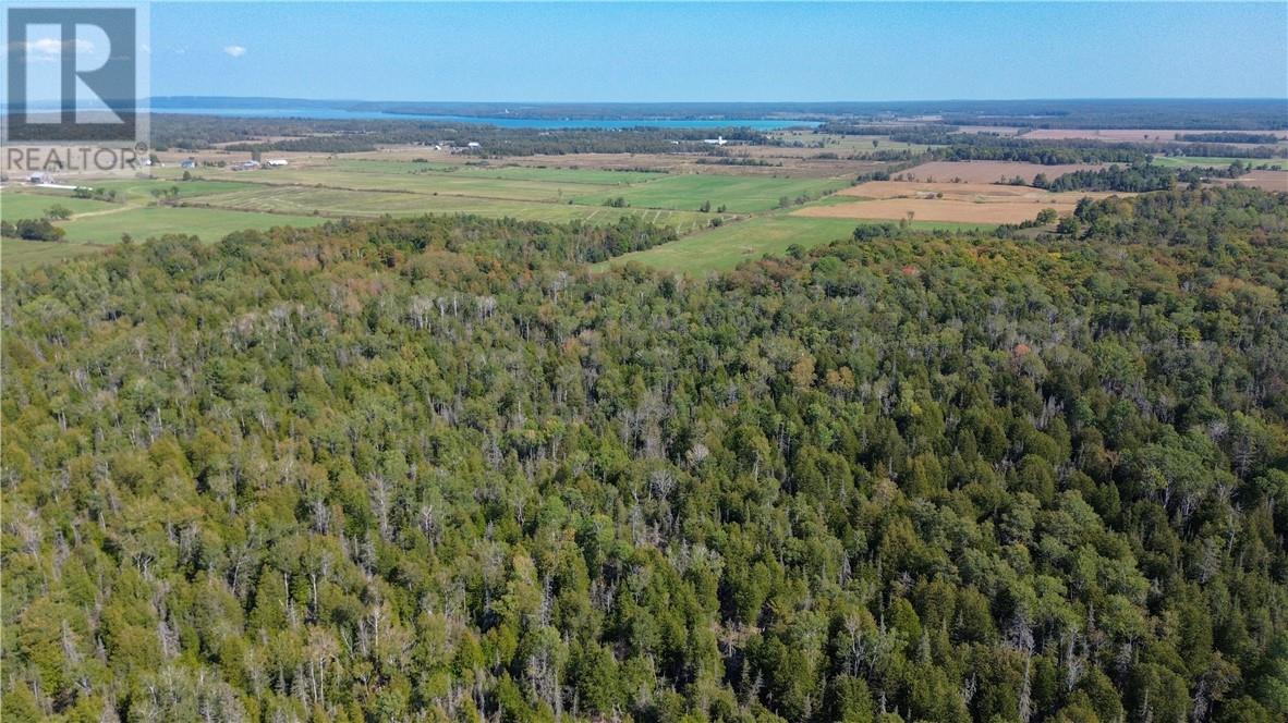 N/a Highway 551, Manitoulin Island, Ontario  P0P 1T0 - Photo 15 - 2119210