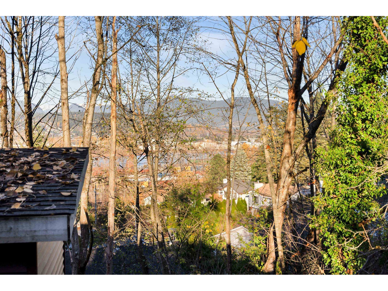 13851 115 Avenue, Surrey, British Columbia  V3R 5Y3 - Photo 12 - R2929416