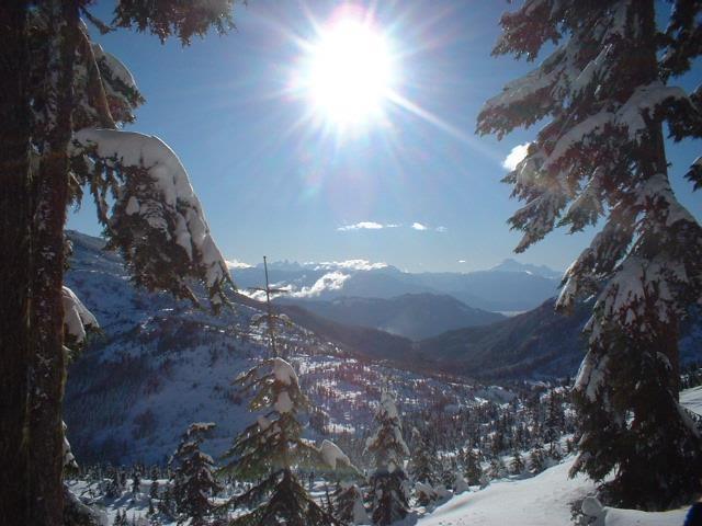 20806 Sakwi Creek Road, Mission, British Columbia V0M 1A1 - Photo 10 - R2926192