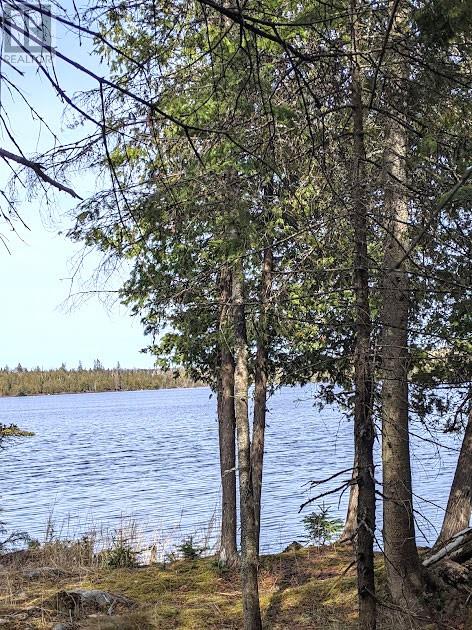 Part 86 Rr39 Pebble Road, Manitoulin Island, Ontario  P0P 1Y0 - Photo 2 - 2119276