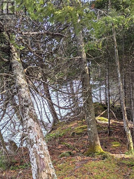 Part 86 Rr39 Pebble Road, Manitoulin Island, Ontario  P0P 1Y0 - Photo 3 - 2119276