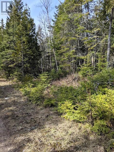 Part 86 Rr39 Pebble Road, Manitoulin Island, Ontario  P0P 1Y0 - Photo 4 - 2119276