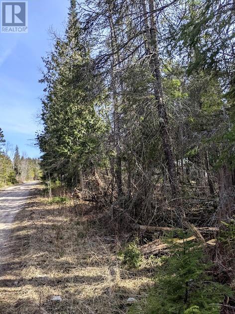 Part 86 Rr39 Pebble Road, Manitoulin Island, Ontario  P0P 1Y0 - Photo 5 - 2119276