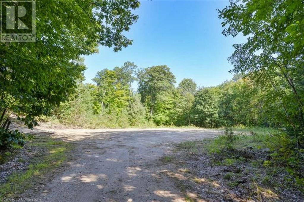 1651 N Portage Road, Huntsville, Ontario  P1H 2J6 - Photo 3 - 40653251