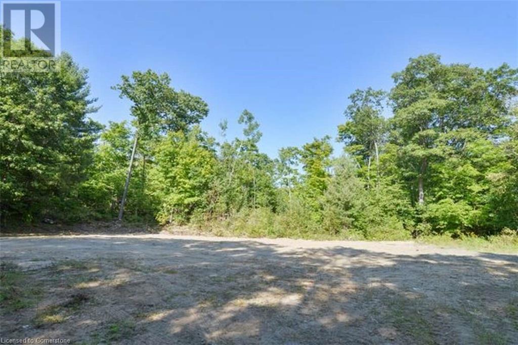 1651 N Portage Road, Huntsville, Ontario  P1H 2J6 - Photo 4 - 40653251