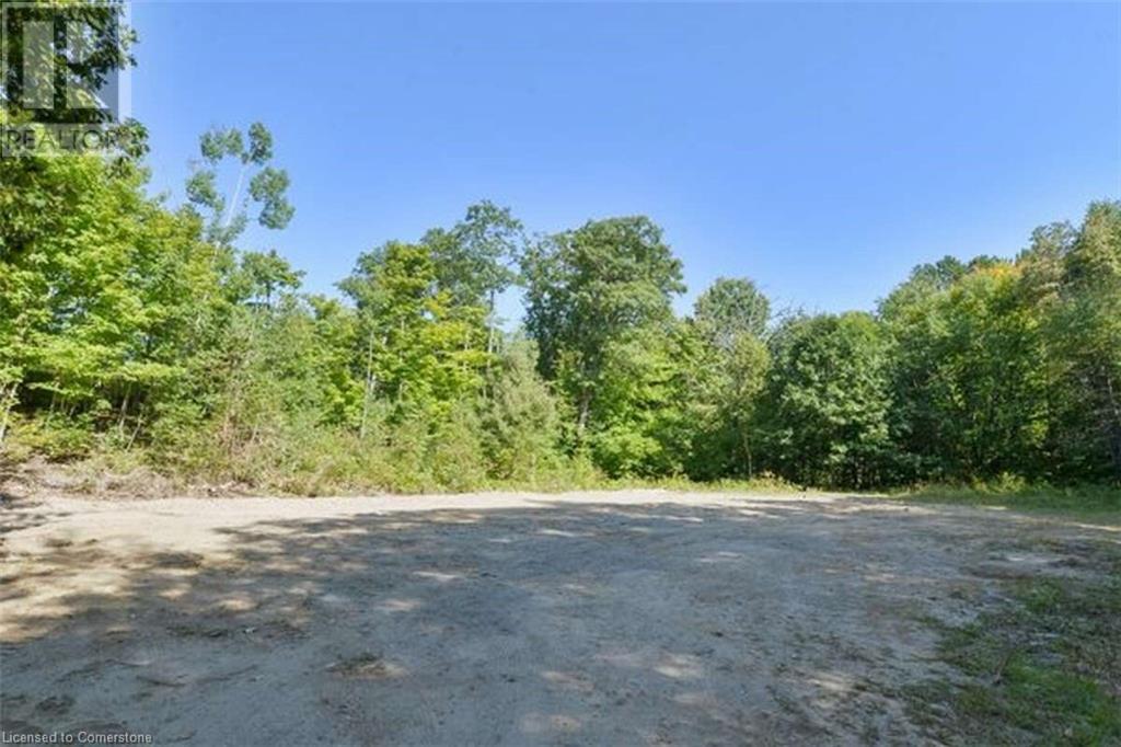 1651 N Portage Road, Huntsville, Ontario  P1H 2J6 - Photo 5 - 40653251