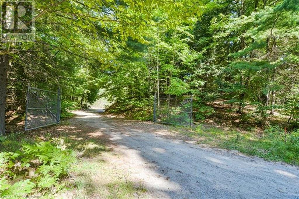 1651 N Portage Road, Huntsville, Ontario  P1H 2J6 - Photo 6 - 40653251