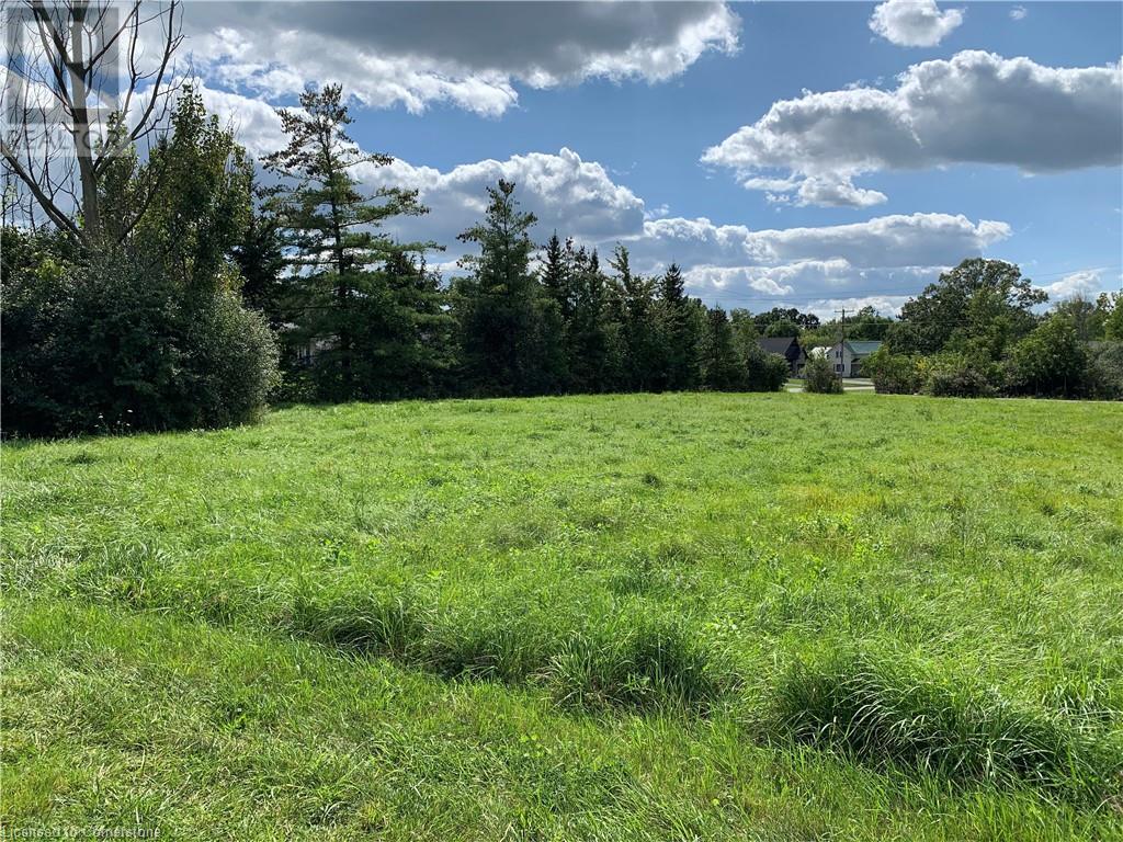 Lot 10-46 Echo Street, Cayuga, Ontario  N0A 1E0 - Photo 2 - 40651900