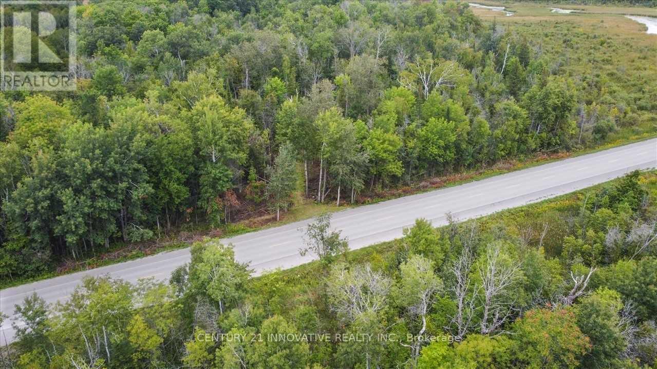 791 Mount Horeb Road, Kawartha Lakes, Ontario  K0L 2W0 - Photo 10 - X8439906