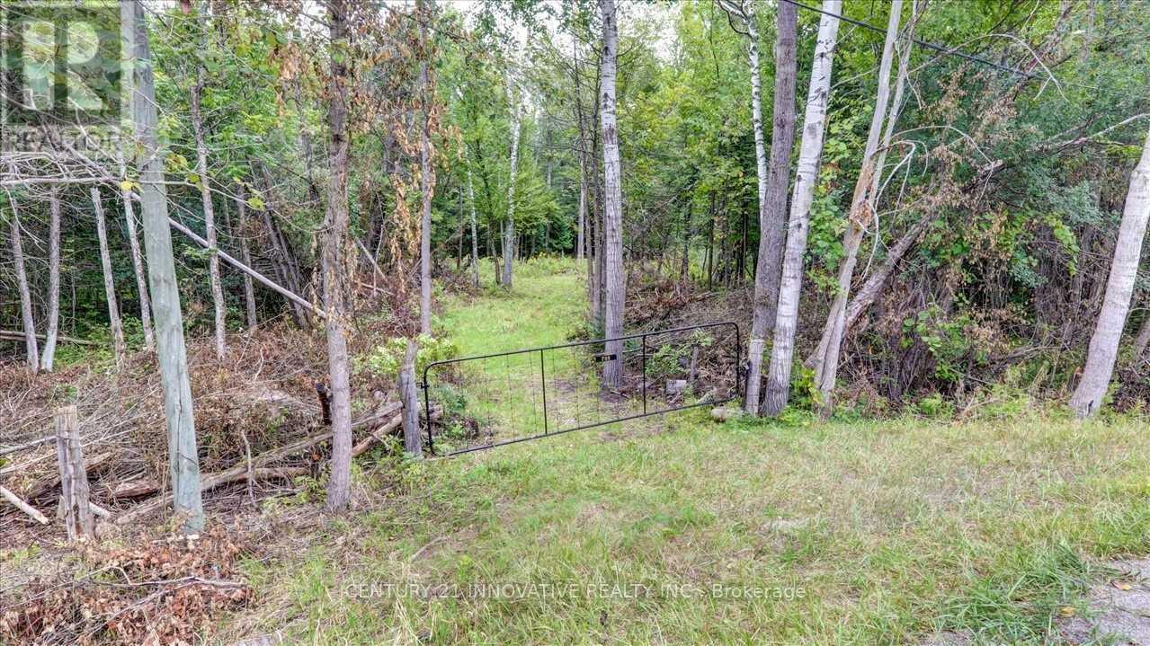 791 Mount Horeb Road, Kawartha Lakes, Ontario  K0L 2W0 - Photo 3 - X8439906