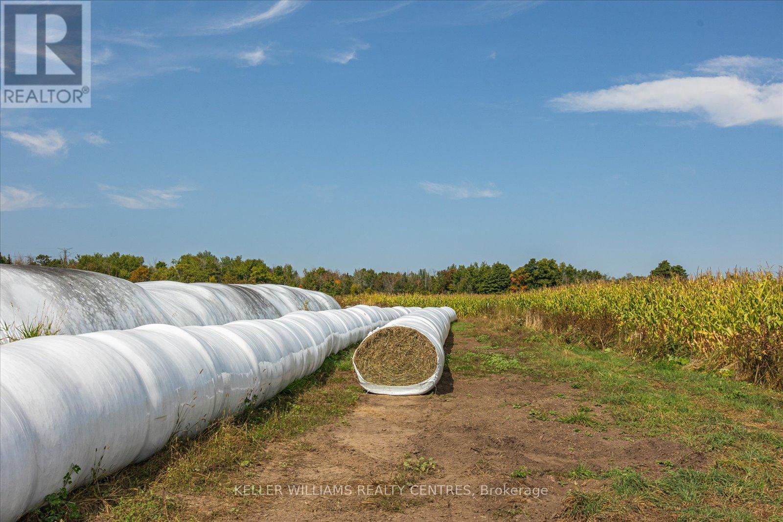 4956 Fifth Line, Erin, Ontario  L7J 2J8 - Photo 18 - X9366451