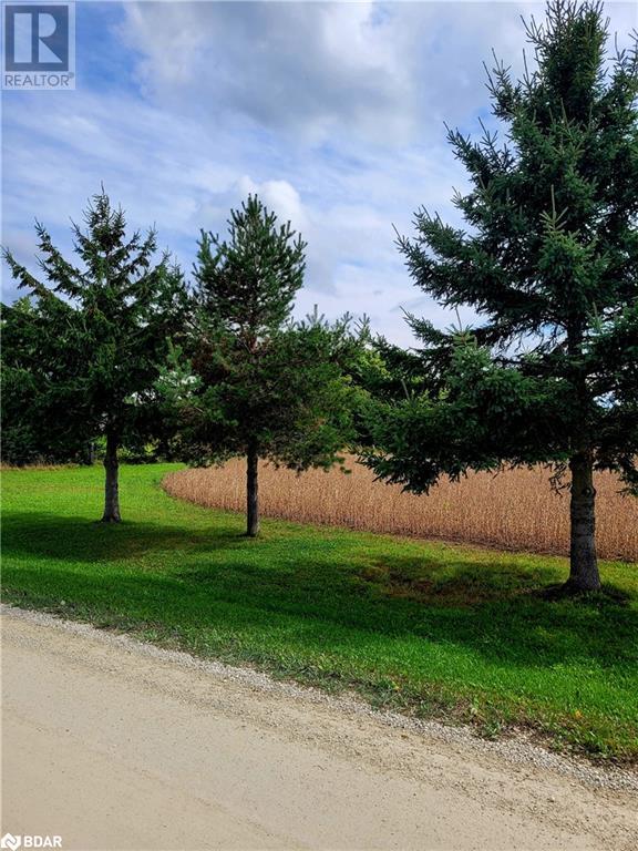 6449 12/13 Sideroad Nottawasaga Sideroad, Stayner, Ontario  L0M 1S0 - Photo 1 - 40653387