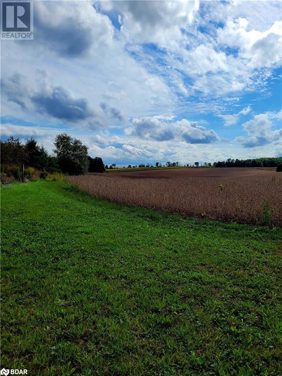 6449 12/13 Sideroad Nottawasaga Sideroad, Stayner, Ontario  L0M 1S0 - Photo 18 - 40653387