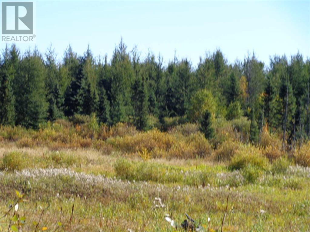 , Rural Ponoka County, Alberta  T0C 0M0 - Photo 18 - A2168700