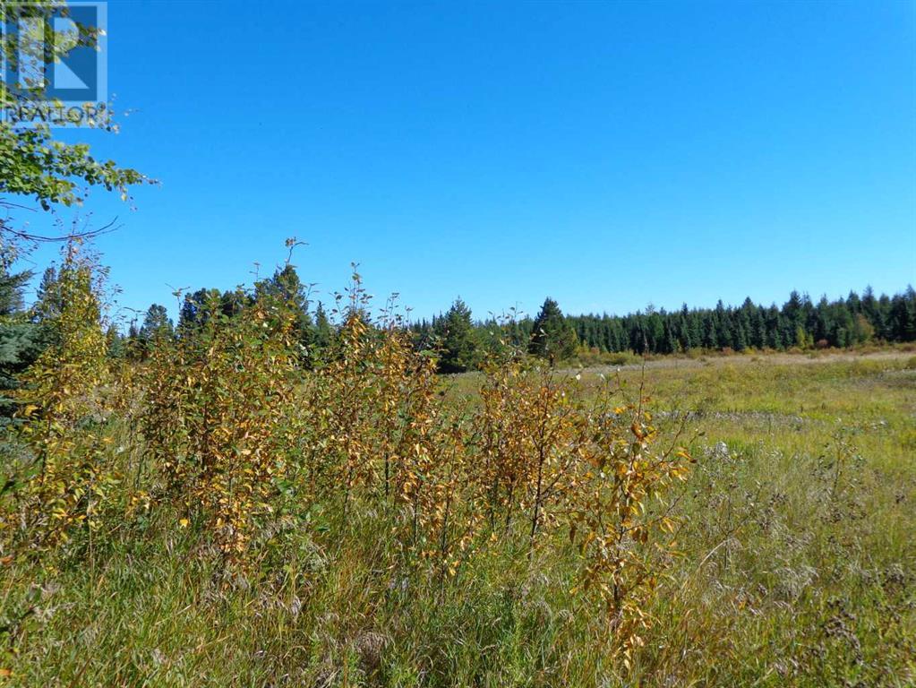 , Rural Ponoka County, Alberta  T0C 0M0 - Photo 20 - A2168700