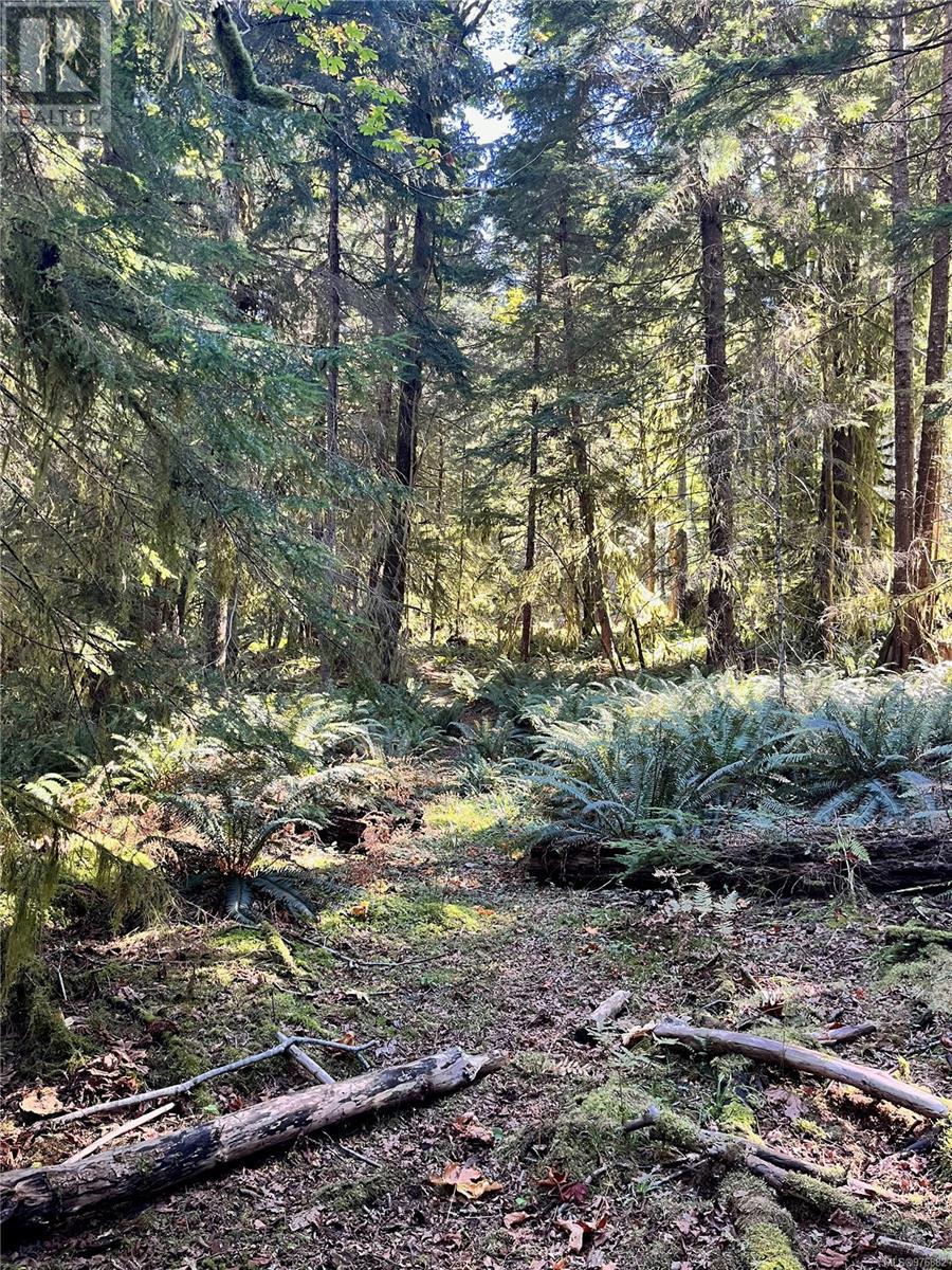 323 Sawmill Rd, Whaletown, British Columbia  V0P 1Z0 - Photo 32 - 976882