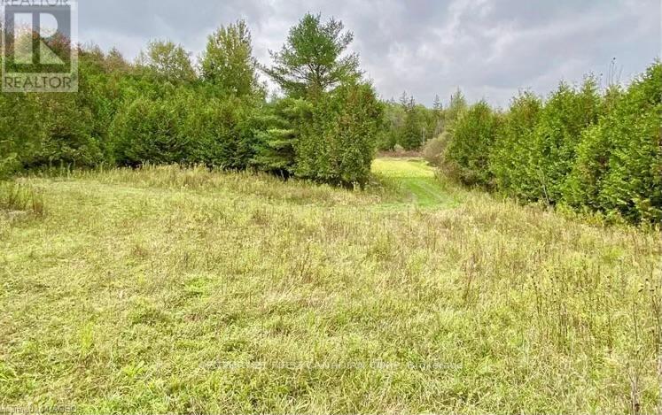 Lot 10 10th Sideroad Ndr, West Grey, Ontario  N0G 1L0 - Photo 17 - X9345064